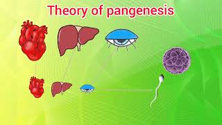 Theory of pangenesis [upl. by Barra434]