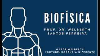 Biofísica da Visão Ilusão de Óptica [upl. by Airdnaed]