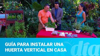 Guía para instalar una huerta vertical en casa [upl. by Hyland59]