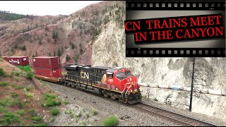 Two Canadian National Stack Trains meet at Kumsheen on opposite sides of the Thompson Canyon [upl. by Pirali]