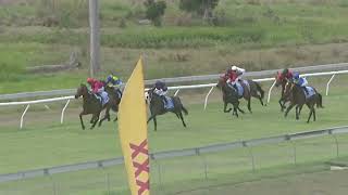 Yeppoon 20241102 Race 1 [upl. by Aikit]