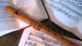 Gaetano Pugnani Sonate n°3 1er mouvement amoroso [upl. by Selegna]