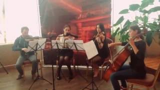 Hearthstone Cafe Fireplace Moscow  Live music [upl. by Leamiba]