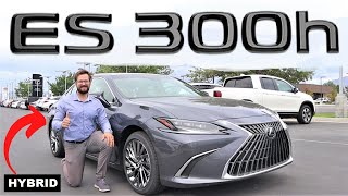 2024 Lexus ES 300h Is This The Hybrid To Buy [upl. by Edee]