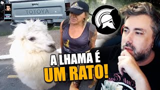 Reagindo OBSERVAÇÕES DIÁRIAS EP 272  XRACING [upl. by Navinod]