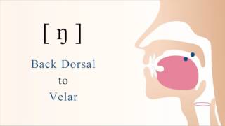 ŋ  voiced back dorsal velar nasal stop [upl. by Fatsug]