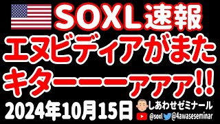 【常識外れ😮】エヌビディアのブラックウェルがすっげえことになってるうゥゥゥ！！【10月15日 朝の米国株ニュース】 [upl. by Cr]