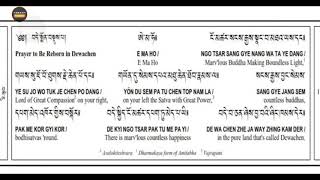 Short Dewachen Monlam  prayer for Rebirth in Pureland Tibetan Buddhism [upl. by Yevreh686]