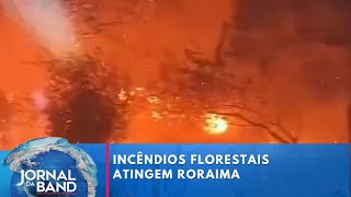 Roraima enfrenta os maiores incêndios florestais em 25 anos  Jornal da Band [upl. by Gamaliel]