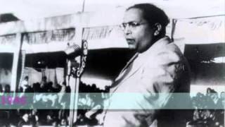 Dr Ambedkars Speech in Parliament [upl. by Siladnerb]