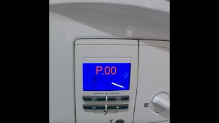 Vaillant Ecotec  How To Put It Into Purge Program  P00 [upl. by Anelaf330]