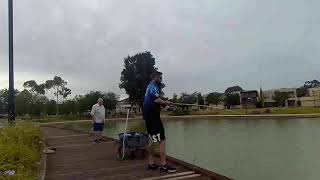 Carp fishing Mawson Lakes [upl. by Oliviero]