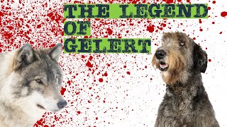 Unraveling the Tragic Legend of Gelert Wales Most Loyal Dog [upl. by Susejedairam502]