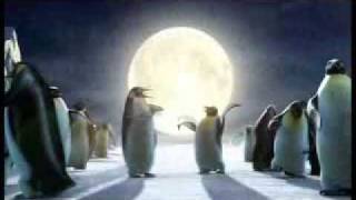 Comercial da Coca cola com urso e pinguins [upl. by Palgrave62]