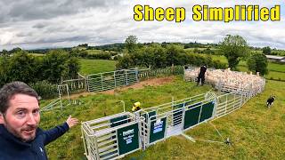 Could This Be The One Our Experience with Prattley Mobile Sheep Handler [upl. by Iaj377]