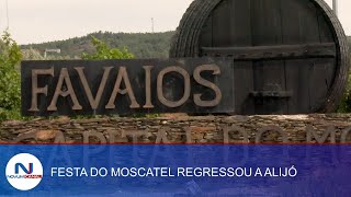 FESTA DO MOSCATEL REGRESSOU A FAVAIOS EM ALIJÓ [upl. by Yanrahc]