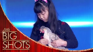 Jiaying quotHypnotisesquot Animals to Sleep  Little Big Shots [upl. by Anialed697]