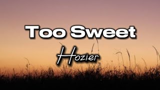 Too Sweet  Hozier [upl. by Allemahs765]