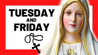 THE SORROWFUL MYSTERIES TODAY HOLY ROSARY TUESDAY amp FRIDAY  THE HOLY ROSARY TUESDAY amp FRIDAY [upl. by Aurita]