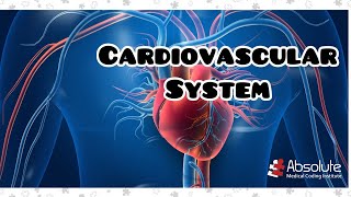 Cardiovascular system CPT Medical Coding for the CPC and CCS Exams  Rereleased [upl. by Alesiram287]