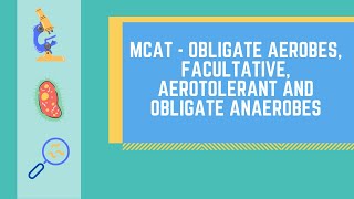 Obligate Aerobes Obligate Anaerobes Facultative Anaerobes and Aerotolerant Anaerobes [upl. by Studnia88]