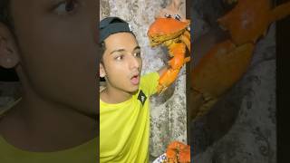 Lakachi Chimbori rexxa crabs seafood chimbori seafoodlover seafoodrecipes crab fishlover [upl. by Yregerg]