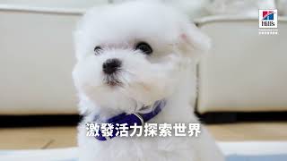 希爾思寵物營養  幼犬貓篇 15秒 橫版 [upl. by Daune]