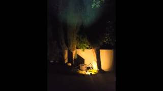 TC1200 Tactical Flashlight  Nighttime Customer Video [upl. by Loar941]