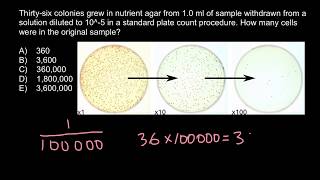 How to Calculate Bacterial Concentration [upl. by Alrac]