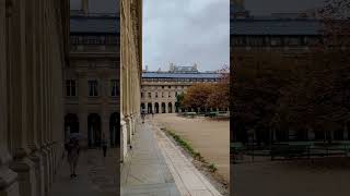 Paris Palais Royale  Serene Scenes paris serenity travel palaisroyal [upl. by Ahsikit]