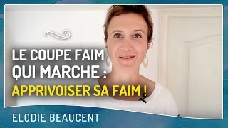 LE COUPE FAIM QUI MARCHE  Apprivoiser sa faim [upl. by Fernandina325]