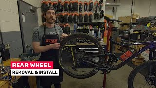 Tech Tip Tuesday  Mountain Bike Rear Wheel Removal and Installation [upl. by Ahsenrat]