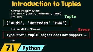 Introduction to Tuples in Python [upl. by Enilatan]