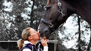 Charlotte Dujardin amp Valegro Tribute [upl. by Goldston97]