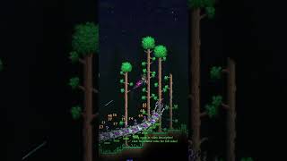 THIS is what Devourer of Gods looked like in Terraria Calamity 10 terraria shorts [upl. by Marlyn]