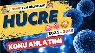 Hücre Konu Anlatımı 🧫  7 Sınıf Fen Bilimleri 2 Ünite [upl. by Nylirahs]