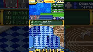 Digimon World Championship Gameplay Nintendo DS [upl. by Lyudmila]