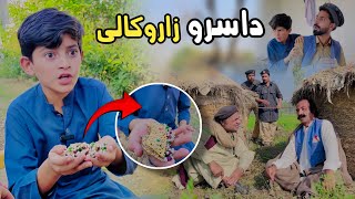 Da Sro zaro Kali  Pashto Funny Video  Pashto Drama 2024 [upl. by Elohc]