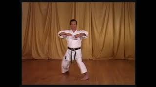 Hangetsu  Enoeda Sensei  Shotokan Kata Karate [upl. by Coben25]