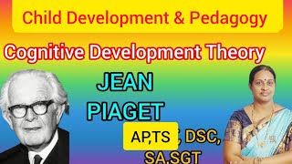 Jean Piaget Cognitive Development TheoryAPTS DSC Child PedagogyampDevelopment English mediumclasses [upl. by Fawna636]