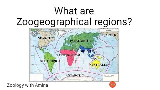 What are zoogeographical regions  How to draw zoogeographical regions map [upl. by Lovmilla353]