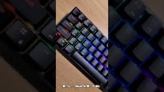 LTC Nimbleback Mechanical Keyboard Sound Test [upl. by Ennagem]