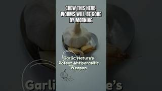 01  Parasites Solution  CHEW This Herb How Garlic destroy Parasites Overnight garlic parasite [upl. by Aeneas268]