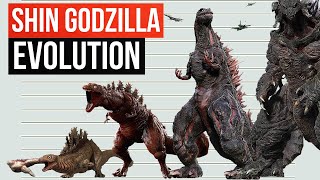 Evolution Of Shin Godzilla  Size Comparison [upl. by Renick]