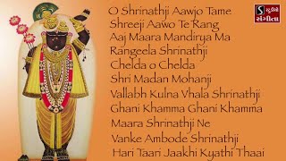 Shrinathji Satsang  11 Beautiful Songs  Hari Taari Zaakhi [upl. by Anerual449]