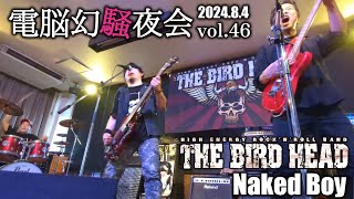 THE BIRD HEAD【バードヘッド】電脳幻騒夜会Vol46 Live奈良大和郡山 プラチナ食堂「 Naked Boy（歌詞あり）」202484 [upl. by Amjan599]