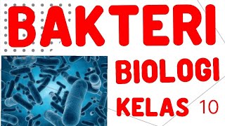 BAKTERI BIOLOGI KELAS 10 [upl. by Arnold]