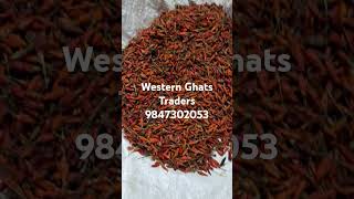 Bird eye chilli Red and Green available contact 9847302053 [upl. by Ahseinet]