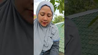 Buah blacksapote shortvideo [upl. by Ennayelsel636]