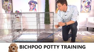 BichPoo Potty Training from WorldFamous Dog Trainer Zak George  How to Potty Train a Poochon Puppy [upl. by Lelith58]